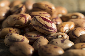 Healthy Raw Organic Cranberry Beans