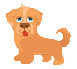 Ginger dog isolated on a white background