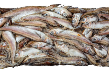 raw frozen fish