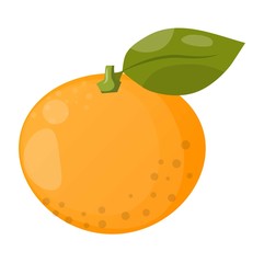 Orange isolated vector illustration.