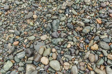 Мокрые камушки на берегу реки Катунь