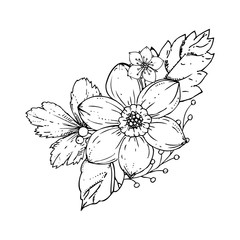 hand drawn ink floral ornament with flowers narcissus and leaves. vector eps 10