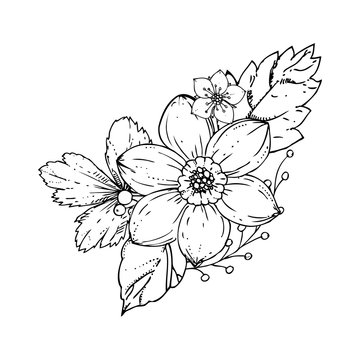 hand drawn ink floral ornament with flowers narcissus and leaves. vector eps 10