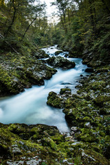 October 2016 - Vintgar River in the gorge