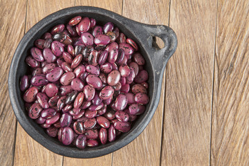 Pinto beans in the bowl - (Phaseolus vulgaris)