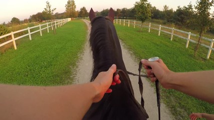POV: Unrecognizable woman holding reins and whip and  riding dark brown horse