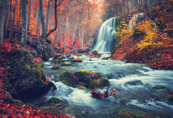 Autumn forest with waterfall at mountain river at sunset. Colorful landscape with trees, stones, waterfall and vibrant red and orange foliage. Nature background. Fall woods. Vintage toning