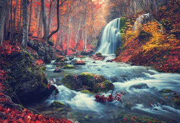 Foto auf Acrylglas Wasserfälle Herbstwald mit Wasserfall am Gebirgsfluss bei Sonnenuntergang. Bunte Landschaft mit Bäumen, Steinen, Wasserfall und leuchtend rotem und orangefarbenem Laub. Natur Hintergrund. Herbstwald. Vintage-Tönung