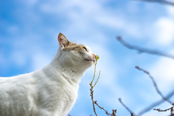 10月、まだ寒くなる前のミケっち