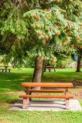 Fototapeta na wymiar A picnic table with gorgeous view at Okanagan Lake, British Columbia, Canada.