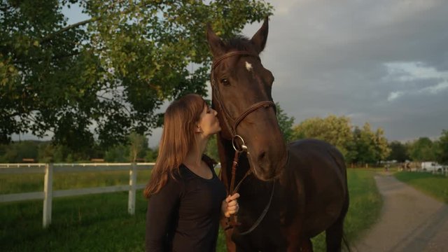 SLOW MOTION: Cheerful girl kissing and caressing cute and tall dark bay horse