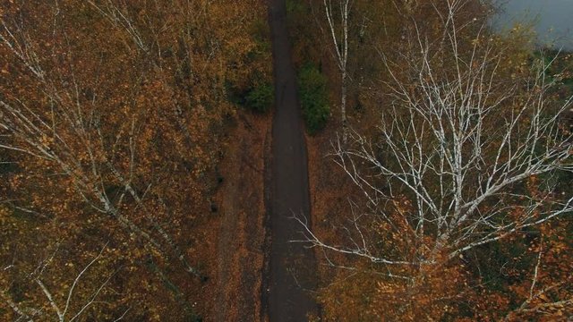 Man jogging on road in autumn forest