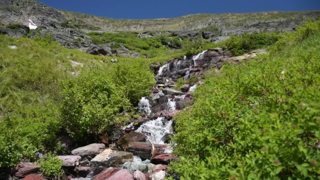 Stream on Grinnell Glacier Trail, Glacier National Park, Montana, USA
