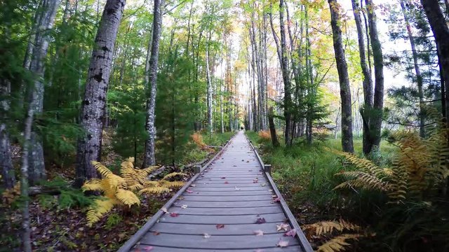 Walking on boardwalk to nature in Acadia National Park, Maine
