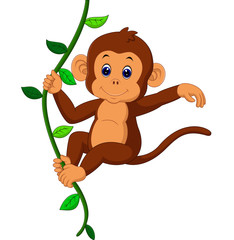 Naklejka premium cute monkey