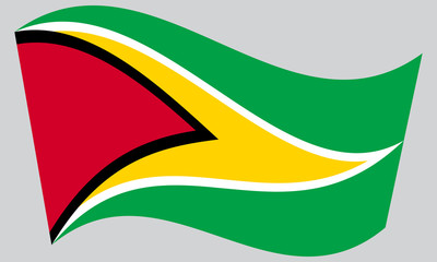Flag of Guyana waving on gray background
