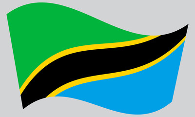 Flag of Tanzania waving on gray background