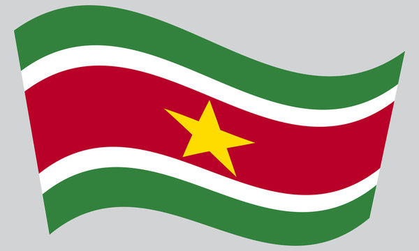 Flag of Suriname waving on gray background