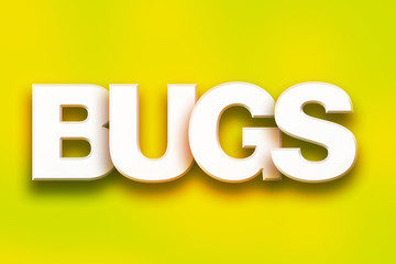 Bugs Concept Colorful Word Art