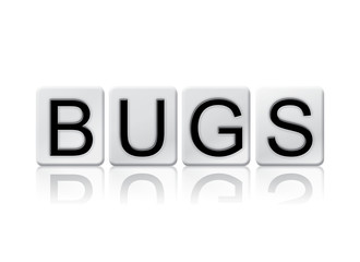 Bugs Isolated Tiled Letters Concept and Theme