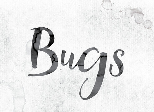 Bugs Concept Painted in Ink