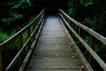 Fototapeta na wymiar Wooden Bridge Leading into the Wood