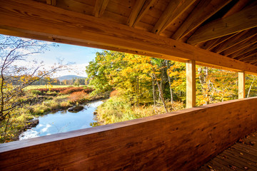 Amazing foliage upstate New York. Morning sunlight spills over the golden foliage. Windham NY is one of the most popular destination for scenic drives, bike trails, foliage and nature lovers.