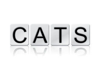 Cats Isolated Tiled Letters Concept and Theme