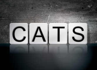 Obraz na płótnie Canvas Cats Tiled Letters Concept and Theme