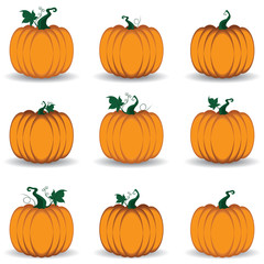 Pumpkin Set isolated on white background.