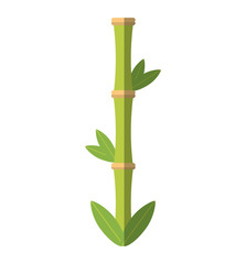 bamboo plant spa isolated icon vector illustration design