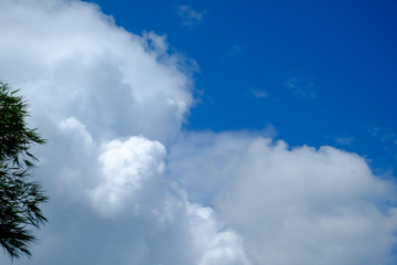 white cloud in the blue sky for background backdrop use