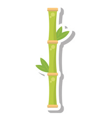 bamboo plant spa isolated icon vector illustration design