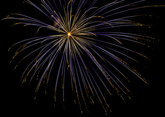 Fototapeta premium Fireworks in night sky