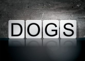 Fototapeta na wymiar Dogs Tiled Letters Concept and Theme