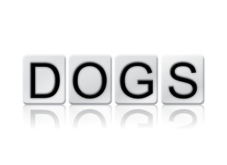 Dogs Isolated Tiled Letters Concept and Theme