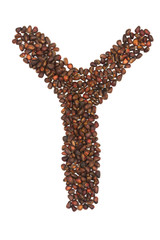 Y letter made of cedar  nuts