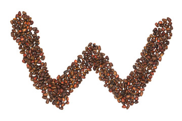 W letter made of cedar  nuts