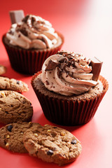 chocolate cupcakes with chocolate butter cream swirl