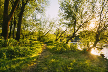 Fototapeta na wymiar Landscape with sunset river and trees