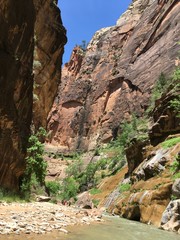 Trail to the narrows, Zion National Park, USA

