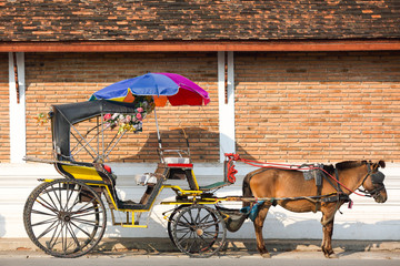 Obraz premium THE HORSE CARRIAGE IN LAMPANG PROVINCE THAILAND