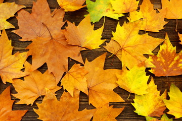 Naklejka na ściany i meble Colorful autumn leaves on old wooden background