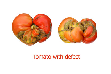 tomato with deformation and defects isolated on white background