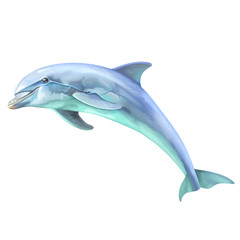 Dolphin © editonepankaj16