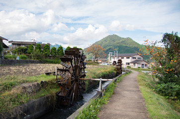 Fototapeta premium 水車