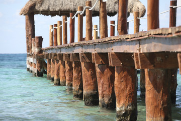 Steg Cozumel