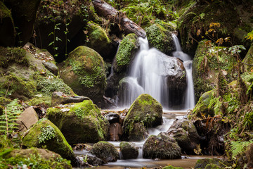 kleiner Wasserfall im Wald