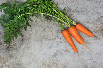 Fresh organic carrots with green tops on rustic table, closeup. Copy space. Top view.
