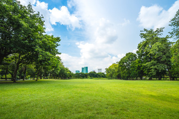 Public park landscape